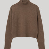 Brown turtleneck sweater